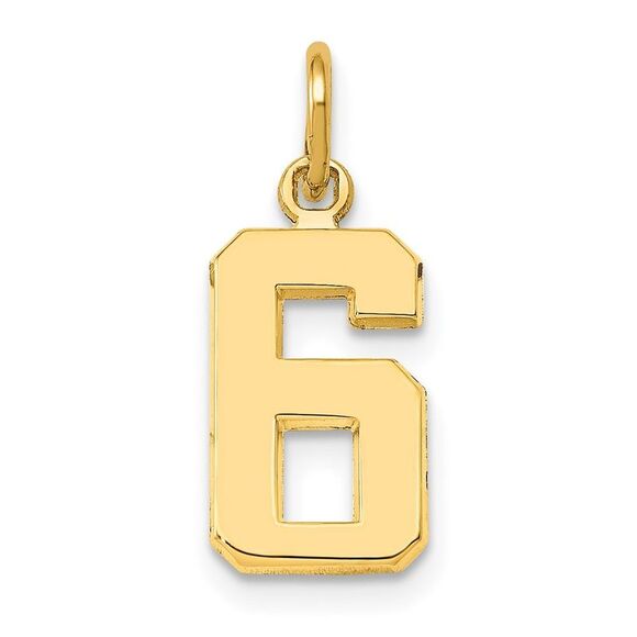 Kazi Luxury 14k Yellow Gold Small Polished Number 6 Charm
